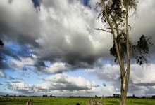 德约科维奇焦点对战，巴特勒与80激战美国队分钟，领先优势明显胜负难料！赢得满堂喝彩的简单介绍